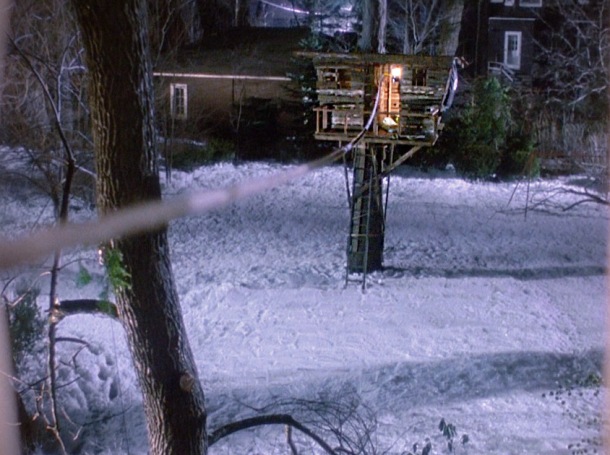 Kevin's tree house in the backyard was built specifically for the movie and was demolished after the filming.