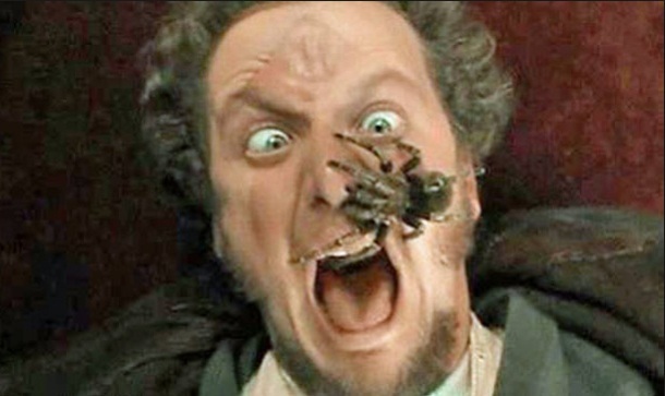 The tarantula scene was real. Daniel Stern Marv agreed to have the spider on his face. But in order to not frighten the spider, Stern had to mime the scream and have the sound dubbed in later.