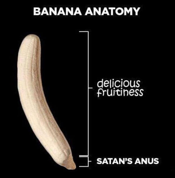 funny anatomy - Banana Anatomy delicious F Fruitiness Satan'S Anus