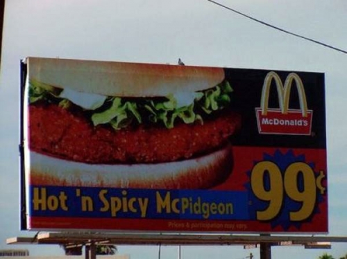 funny street sign graffitti - McDonald's Hot 'n Spicy McPidgeon