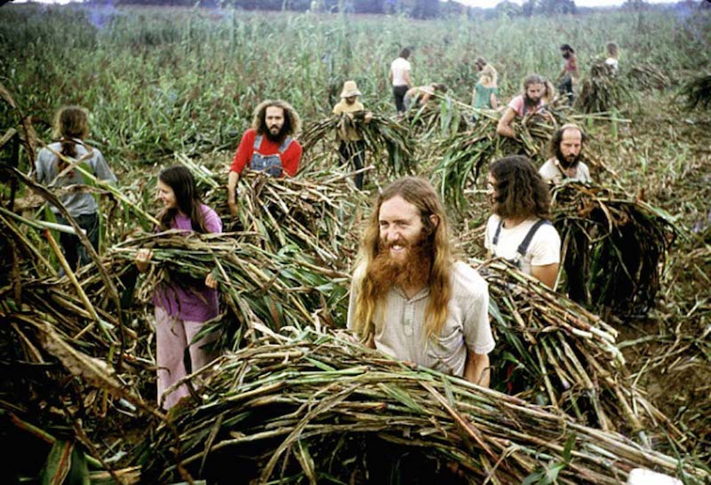 33 Pictures of Early Hippy Organic Culture Living Off the Grid