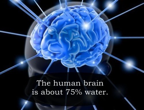 22 Interesting Facts To Up Your Brain Game