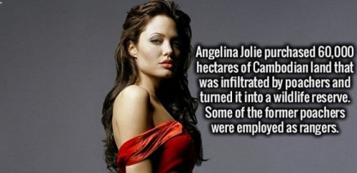 angelina jolie - Angelina Jolie purchased 60,000 hectares of Cambodian land that was infiltrated by poachers and turned it into a wildlife reserve. Some of the former poachers were employed as rangers.