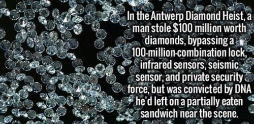 water - x In the Antwerp Diamond Heist, a man stole $100 million worth diamonds, bypassing a i 100millioncombination lock, infrared sensors, seismic sensor, and private security force, but was convicted by Dna he'd left on a partially eaten sandwich near 