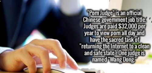learning - "Pom Judge' is an official Chinese government job title. Judges are paid $32,000 per year to view pom all day and have the sacred task of "returning the Internet to a clean and safe state". One judge is named "Wang Dong."