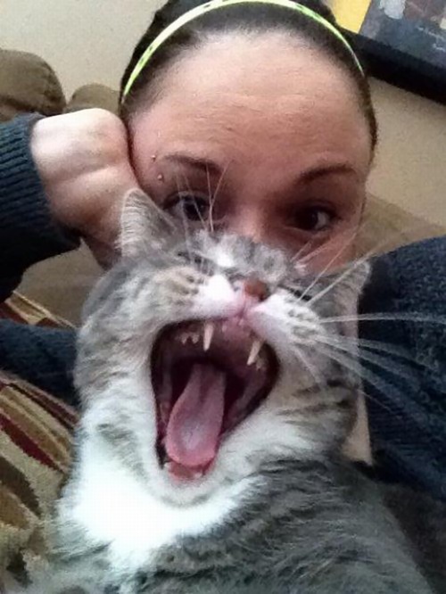 photobomb yawn