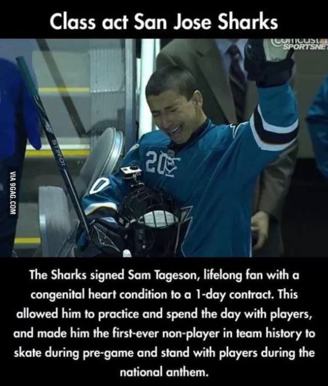 san jose sharks meme - Class act San Jose Sharks Via 9GAG.Com The Sharks signed Sam Tageson, lifelong fan with a congenital heart condition to a 1day contract. This allowed him to practice and spend the day with players, and made him the firstever nonplay