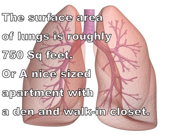 28 Interesting Facts That Are Good To Know