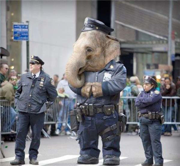 elephant police