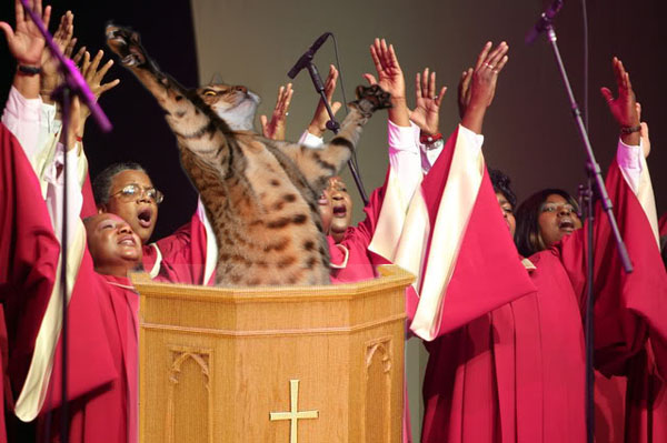 black church choir