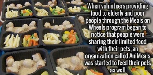 meals on wheels portland - When volunteers providing food to elderly and poor people through the Meals on Wheels program began to notice that people were sharing their limited food with their pets, an organization called AniMeals was started to feed their