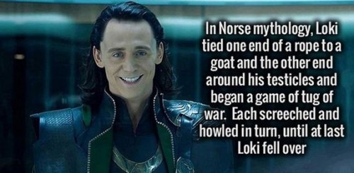 film - In Norse mythology, Loki tied one end of a rope to a goat and the other end around his testicles and began a game of tug of war. Each screeched and howled in turn, until at last Loki fell over