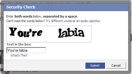 facebook - Security Check Enter both words below, separated by a space. Can't read the words below? Try different words or an audio captcha. You're abia Text in the box You're labia What's This? Submit Cancel