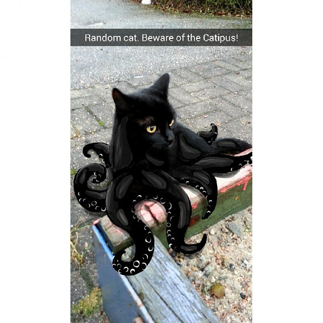 snapchat doodle Random cat. Beware of the Catipus! ou