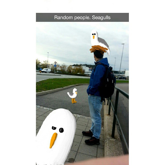 snapchat doodle flightless bird - Random people. Seagulls