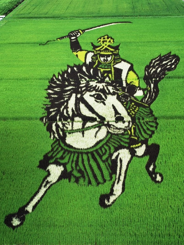 The Rice Paddy Art of Japan