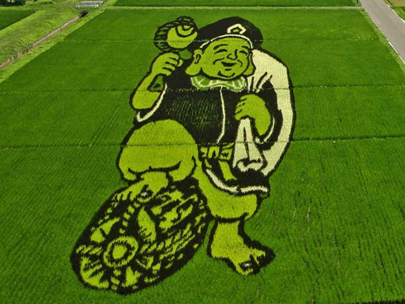 The Rice Paddy Art of Japan