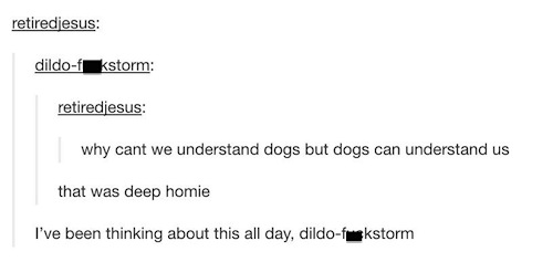 memes deep - retiredjesus dildof kstorm retiredjesus why cant we understand dogs but dogs can understand us that was deep homie I've been thinking about this all day, dildofuckstorm