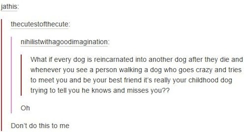 dog dying tumblr post - jathis thecutestofthecute nihilistwithagoodimagination What if every dog is reincarnated into another dog after they die and whenever you see a person walking a dog who goes crazy and tries to meet you and be your best friend it's 