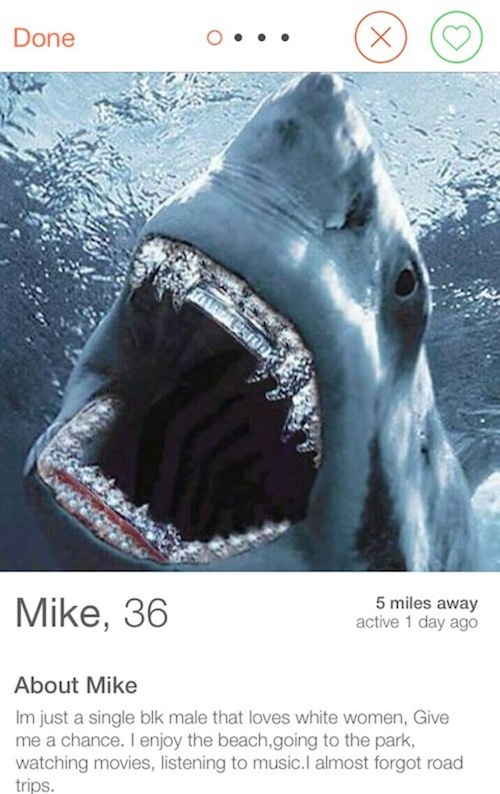 17 People With Next-Level Tinder Profiles