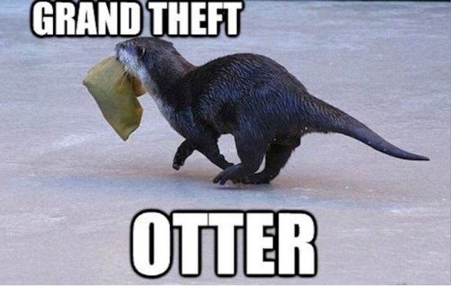 pun funny puns - Grand Theft Otter