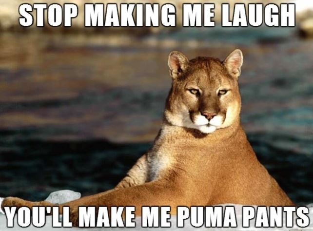 pun funny pun memes - Stop Making Me Laugh You'Ll Make Me Puma Pants