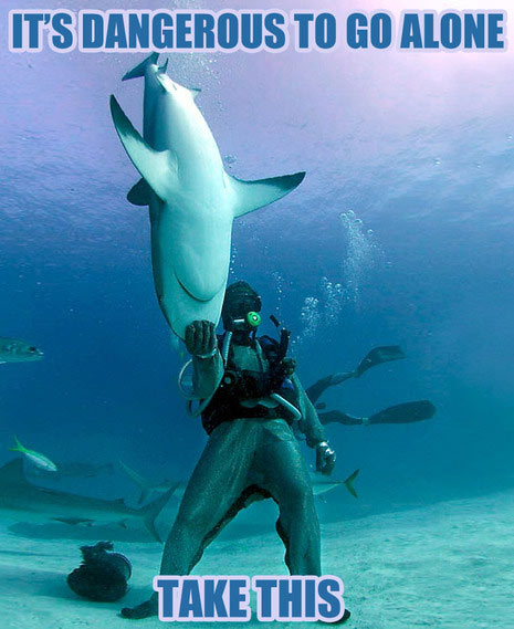 16 Moments in Shark History