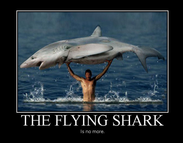 16 Moments in Shark History