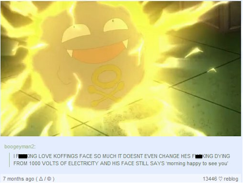 tumblr  - koffing smiling - boogeyman2 King Love Koffings Face So Much It Doesnt Even Change Hes Fking Dying From 1000 Volts Of Electricity And His Face Still Says 'morning happy to see you 7 months ago A1 13446 V reblog