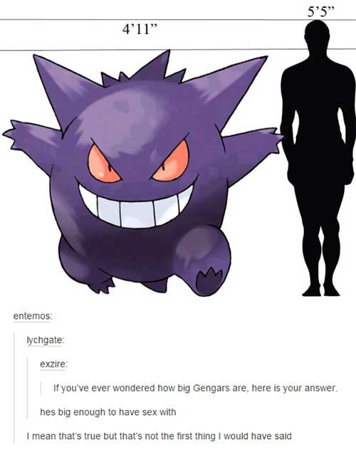 tumblr  - pokemon tumblr memes - 5'5" 4'11" entemos lychgate exzire If you've ever wondered how big Gengars are, here is your answer. hes big enough to have sex with I mean that's true but that's not the first thing I would have said
