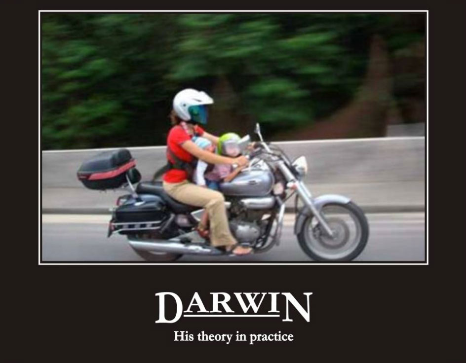 And The Darwin Award Goes To...