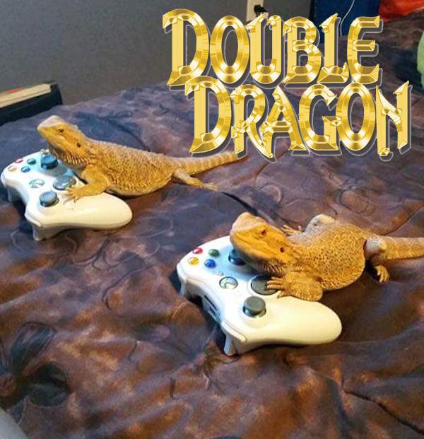 reptile - Double Dragon