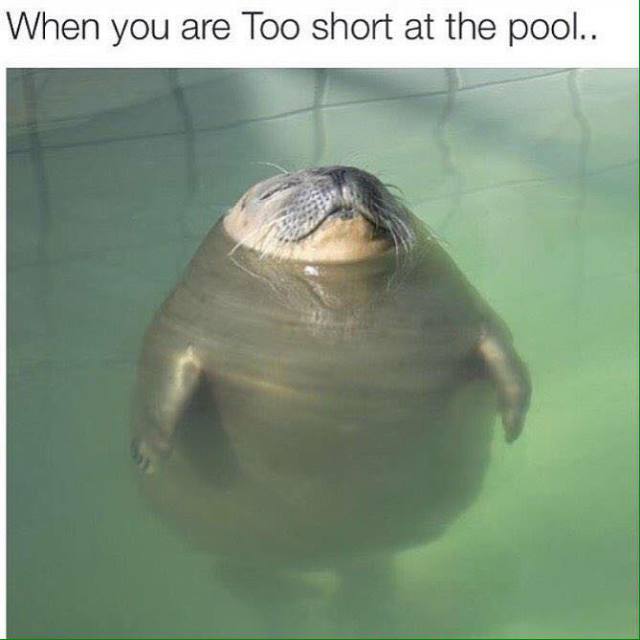 you are too short at the pool - When you are Too short at the pool..