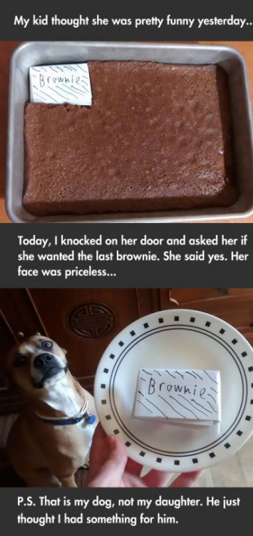 paper brownie meme - My kid thought she was pretty funny yesterday.. Brownie Today, I knocked on her door and asked her if she wanted the last brownie. She said yes. Her face was priceless... Brownie P.S. That is my dog, not my daughter. He just thought I