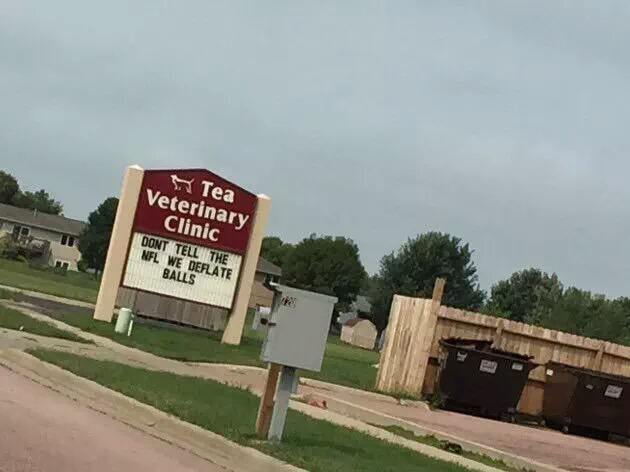 signage - Tea Veterinary Clinic Dont Tell The Nfl We Deflate Balls