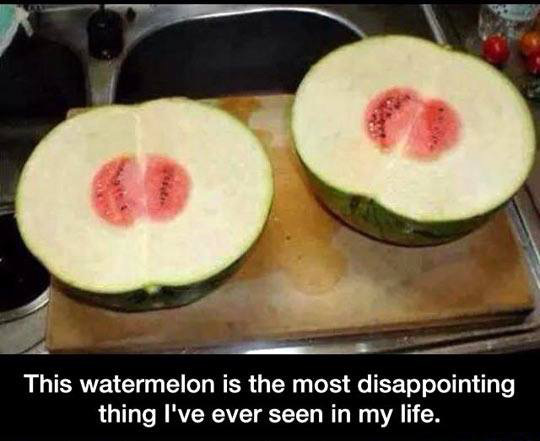 disappointing watermelon - This watermelon is the most disappointing thing I've ever seen in my life.