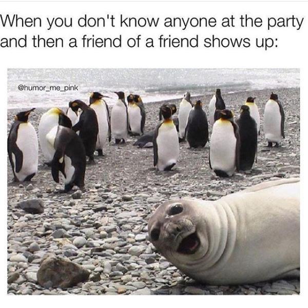 memes - you don t know anyone - When you don't know anyone at the party and then a friend of a friend shows up