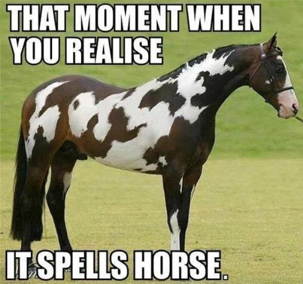 memes - moment you realize it spells horse - That Moment When You Realise It Spells Horse