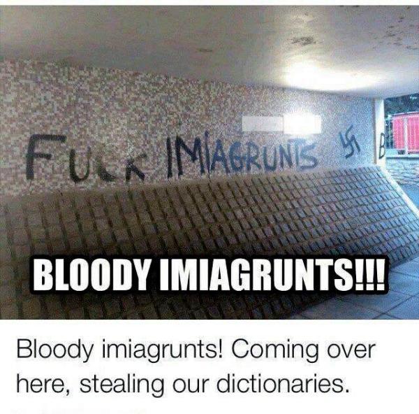 memes - fuck imiagrunts - Fuck Imagrunis Bloody Imiagrunts!!! Bloody imiagrunts! Coming over here, stealing our dictionaries.