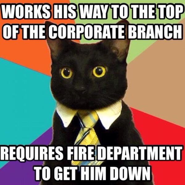 memes - keep your eye on the prize meme - Works His Way To The Top Of The Corporate Branch Requires Fire Department To Get Him Down