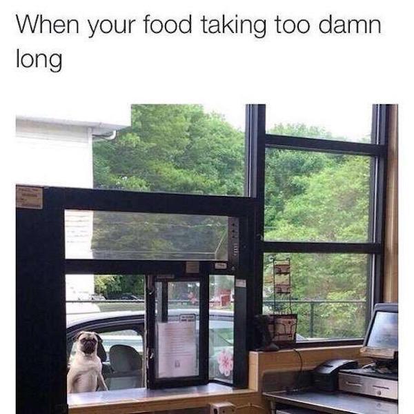 your food is taking too long - When your food taking too damn long