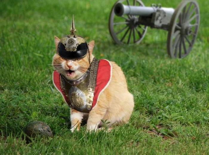 prussian cat meme
