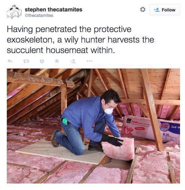 memes - succulent house meat - stephen thecatamites othecatamites S Having penetrated the protective exoskeleton, a wily hunter harvests the succulent housemeat within. 286