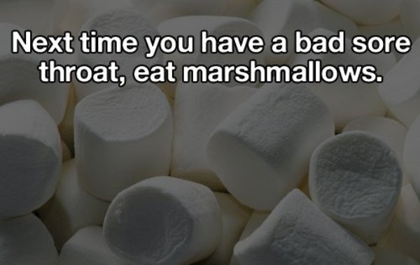 material - Next time you have a bad sore throat, eat marshmallows.