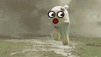 13 GIF's With Faces Makes Them Awesome!