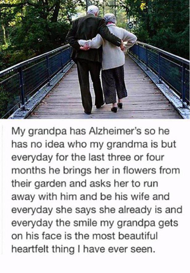 old couple holding hands - My grandpa has Alzheimer's so he has no idea who my grandma is but everyday for the last three or four months he brings her in flowers from their garden and asks her to run away with him and be his wife and everyday she says she
