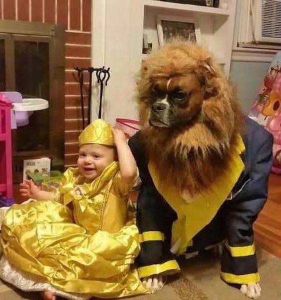 baby and dog halloween costume