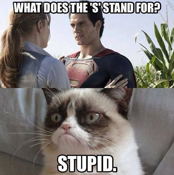 grumpy cat memes - What Does The "S" Stand For? Stupid.
