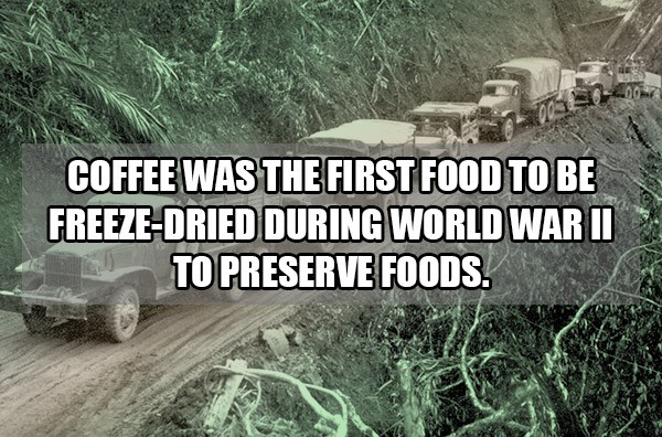 19 Very Interesting Coffee Facts!