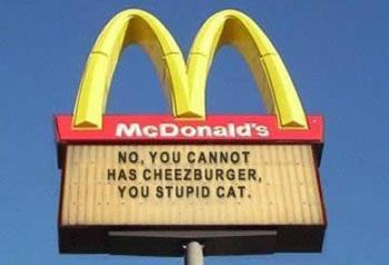 hilarious fast food memes - McDonald's No, You Cannot Has Cheezburger, You Stupid Cat.